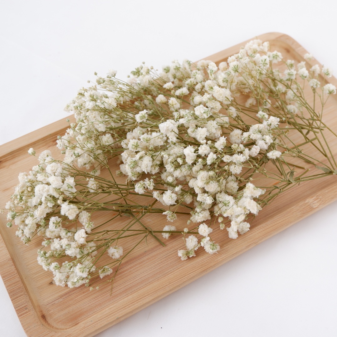 Dried Flower Bouquet - Dried Flowers White Mini Dried Babys