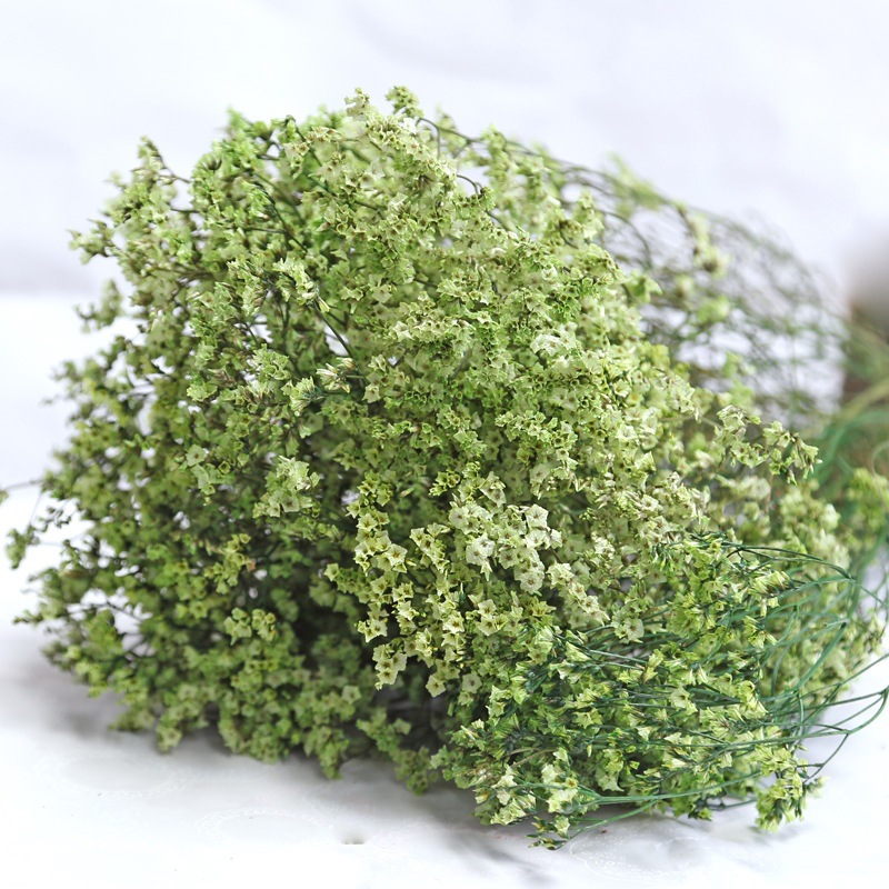Dried Flower Bouquet - Natural Fresh Dried Preserved Flowers Crystal