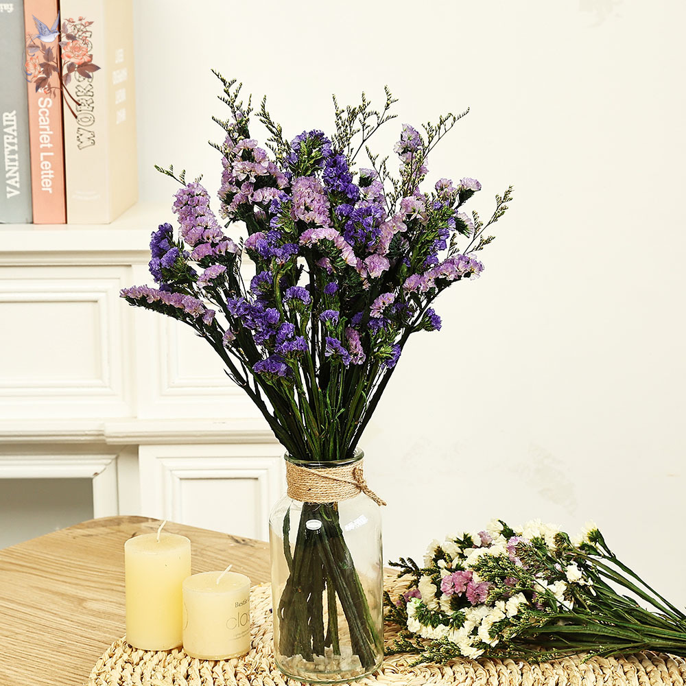 Dried Flower Bouquet - 100g Natural Real Forget-me-not Flower Bouquet