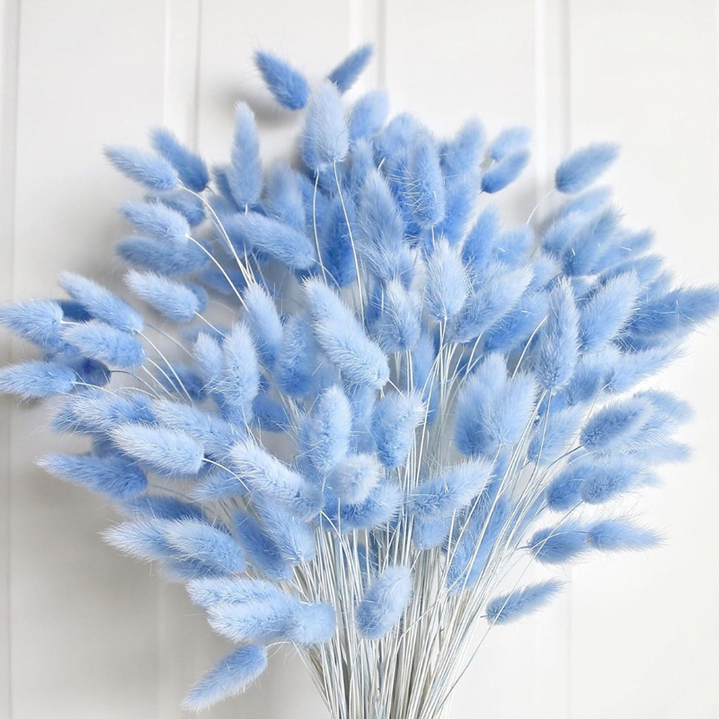 Dried Flower Bouquet - 100PCS Blue Hare's-tail Grass Bunny Rabbit