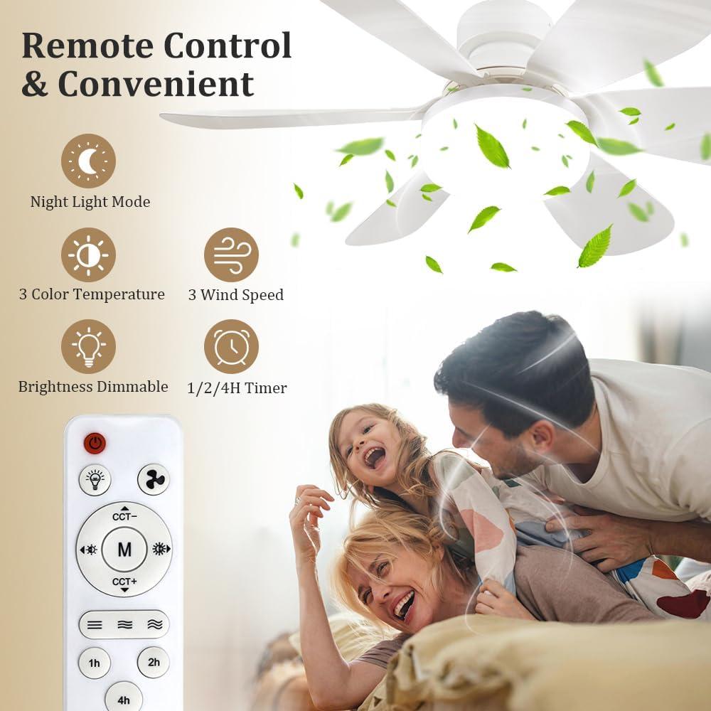 Socket Fan Light with Remote,  - огляд і ціна Home Decor Light