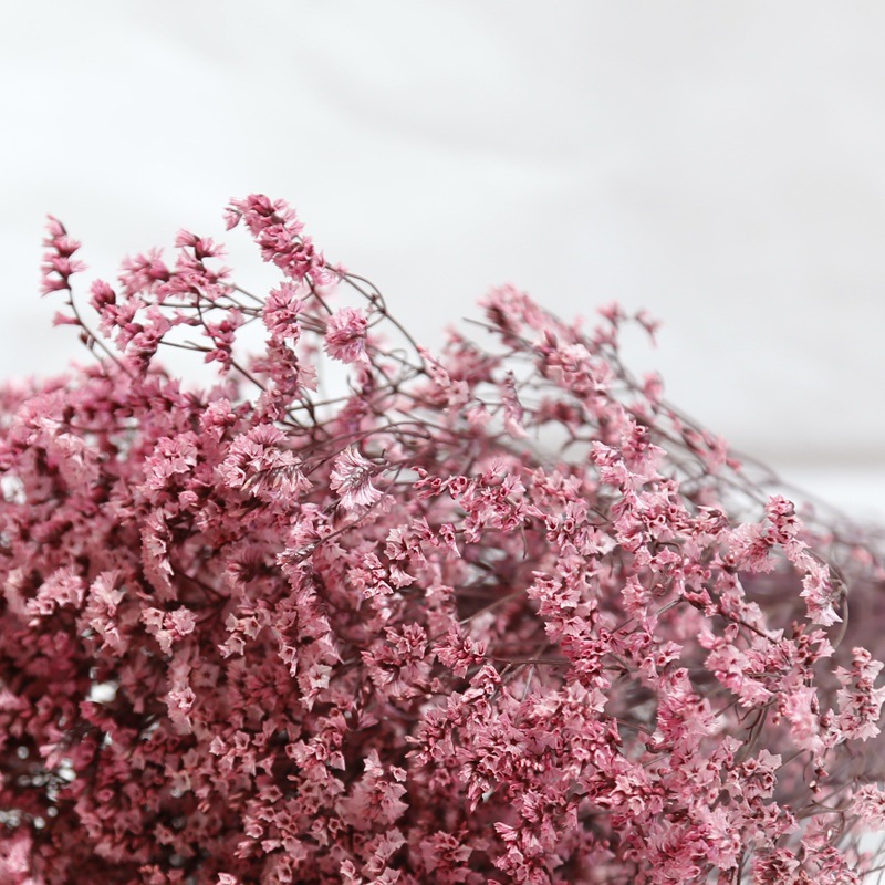 Natural Fresh Dried Preserved  - огляд і ціна Dried Flower Bouquet
