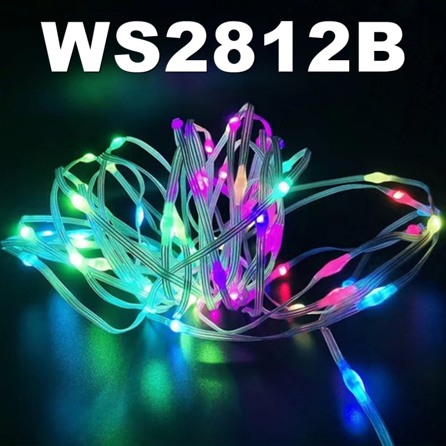 WS2812B LED Light String Smart - огляд і ціна Home Decor Garland