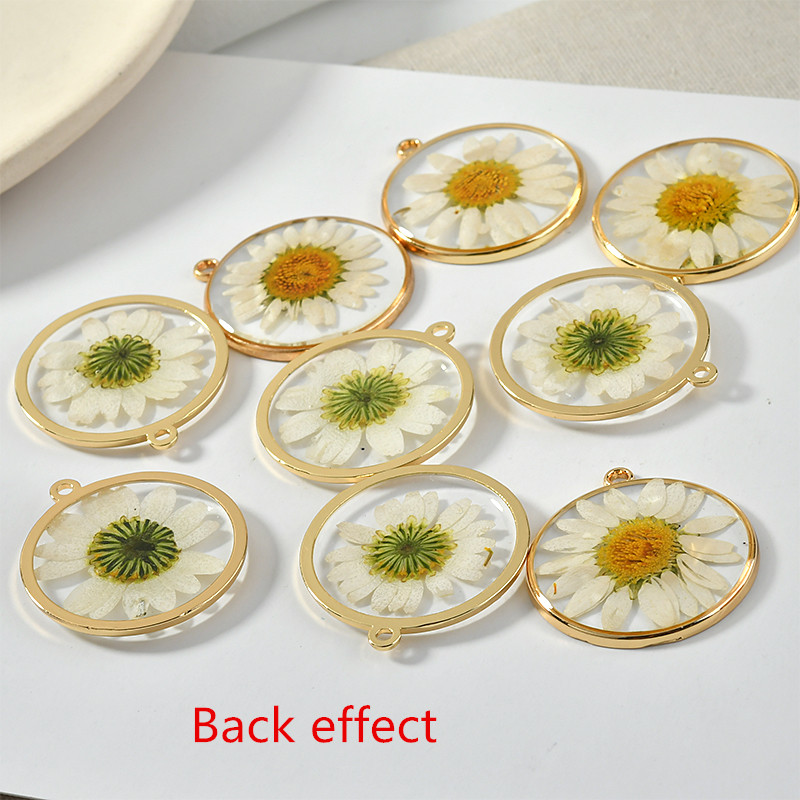 Min 20pcs/lot 30mm dried color - огляд і ціна Dried Flower Bouquet