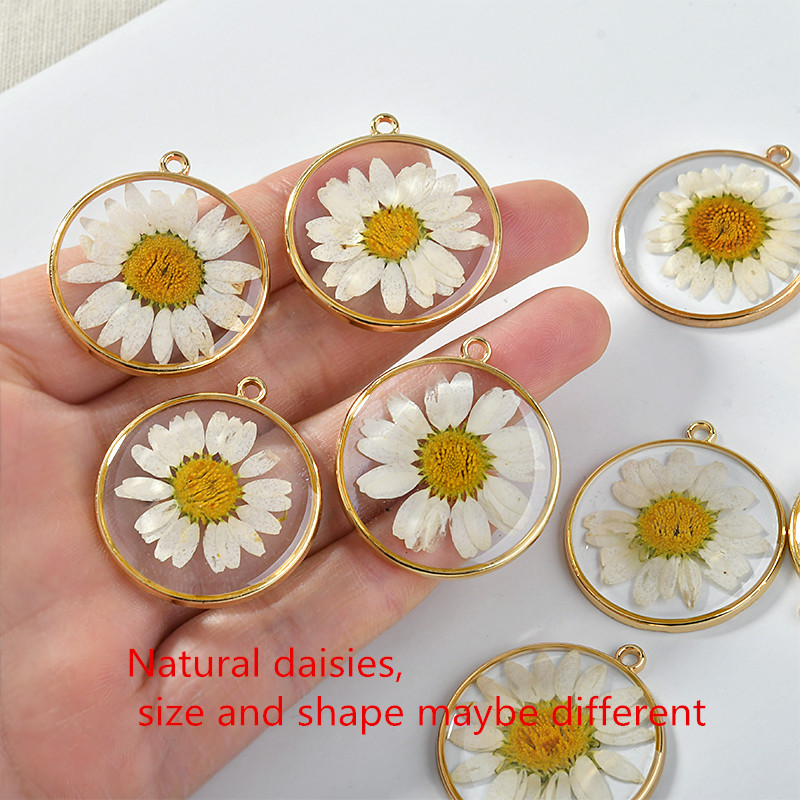 Min 20pcs/lot 30mm dried color - огляд і ціна Dried Flower Bouquet