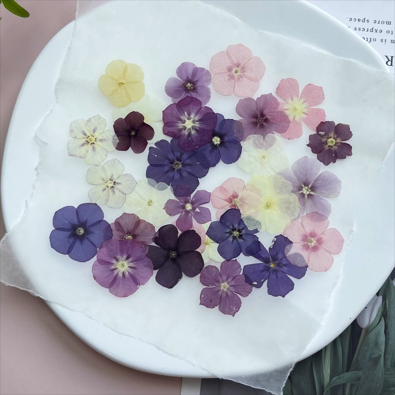 12pcs,Semi-Transparent Niche P - огляд і ціна Dried Flower Bouquet