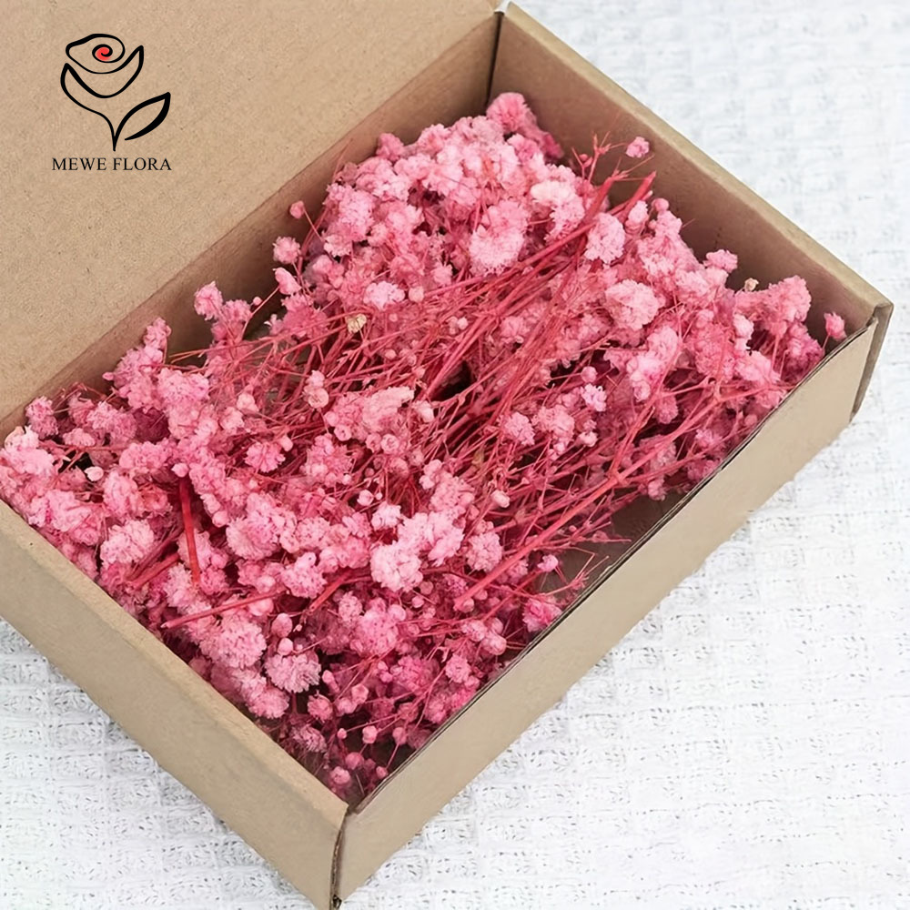 100 Small Branch Dried Baby's  - огляд і ціна Dried Flower Bouquet